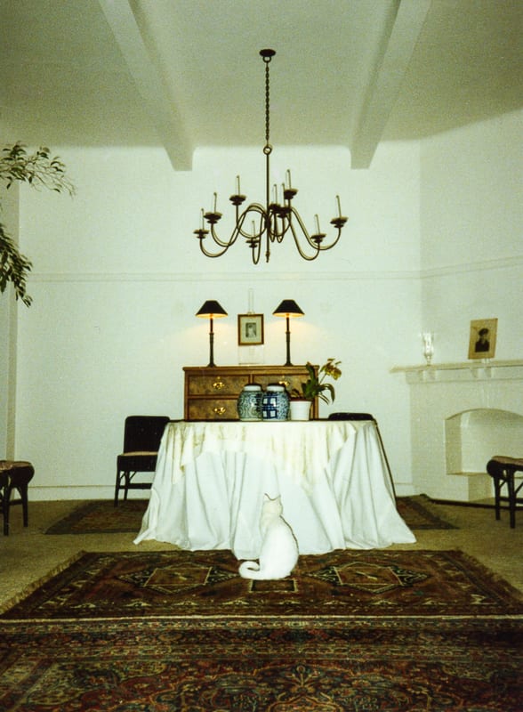Henri's dining room with Casper at Alexander Mansions